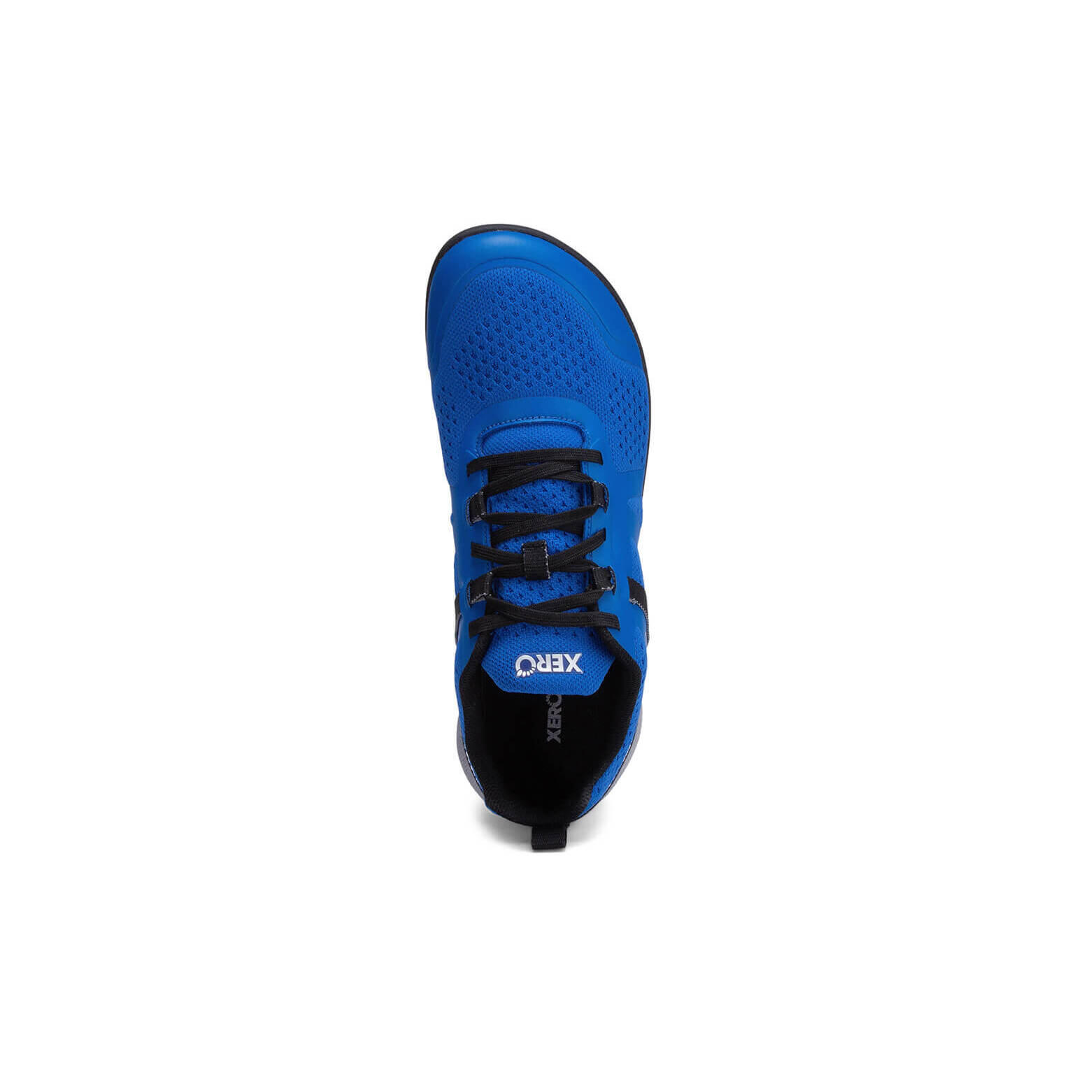 Cross training schoenen Xero Shoes Prio Neo 2/5
