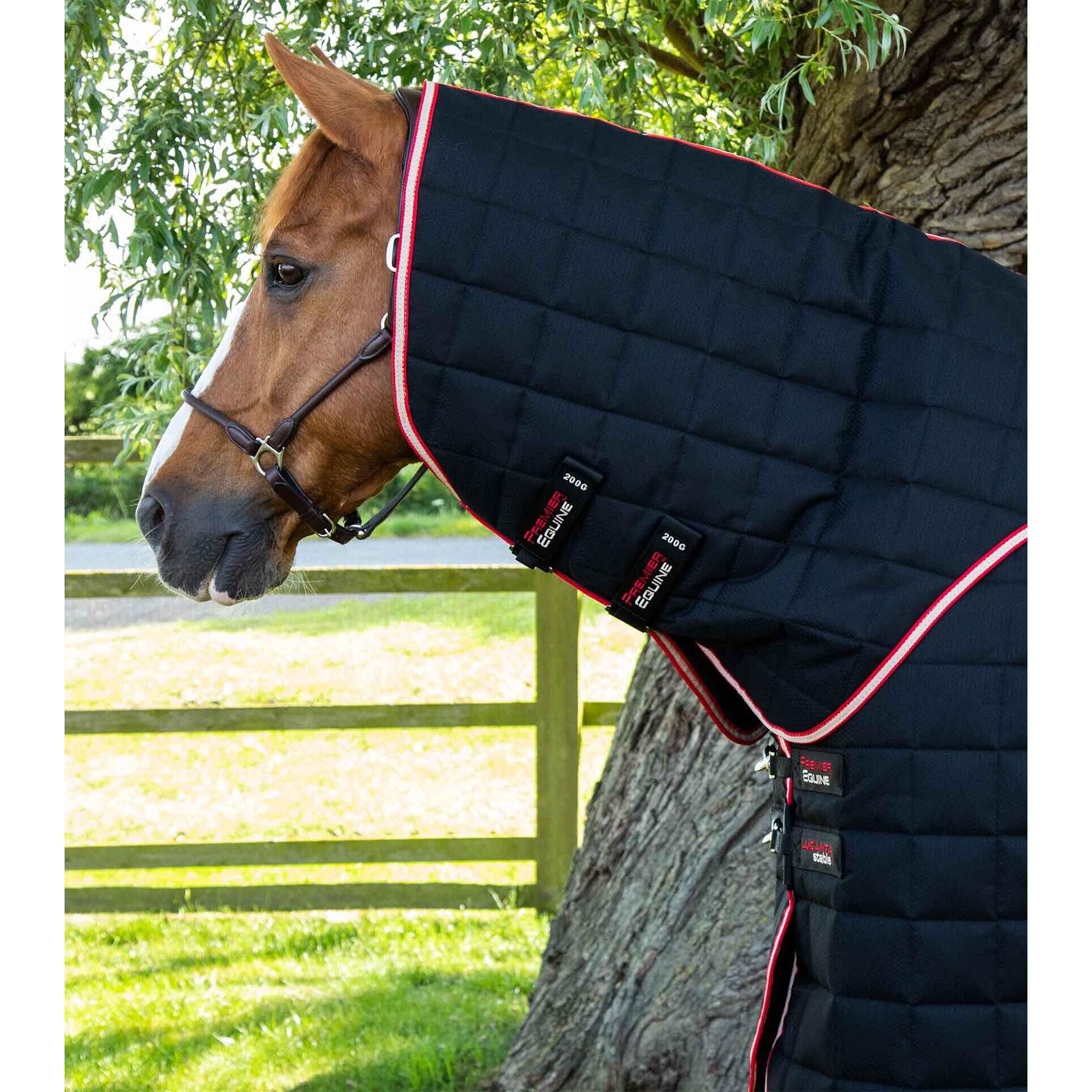 Couverture d'écurie pour cheval avec couvre-cou Premier Equine Lucanta 450 g 2/7