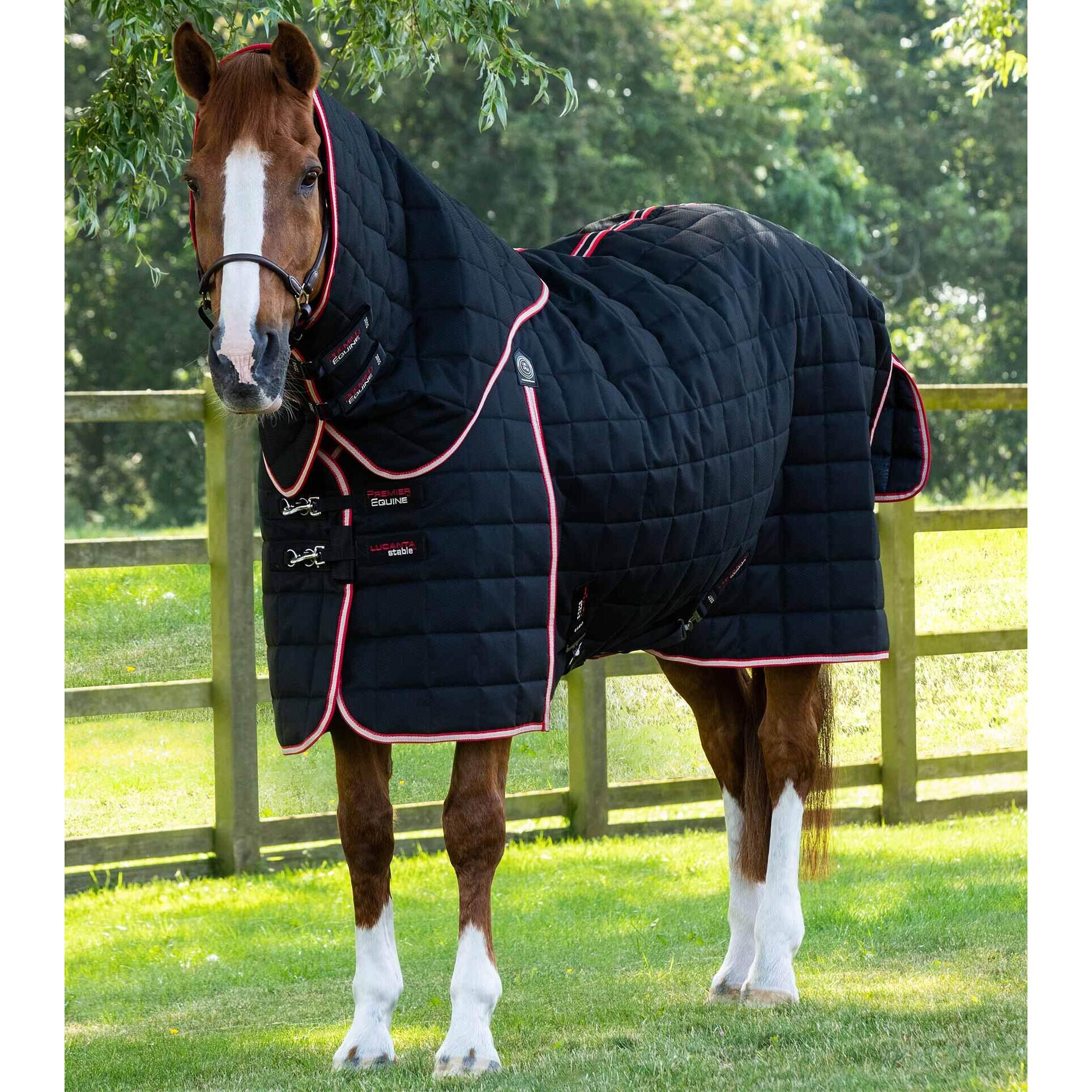 Horse stable blanket with neck cover Premier Equine Lucanta 450 g