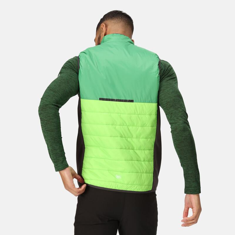 Halton VII baffle wandelgilet voor heren