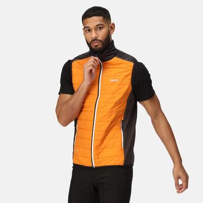 Bodywarmer wandelen heren waterafstotend alpacawol extol-stretch