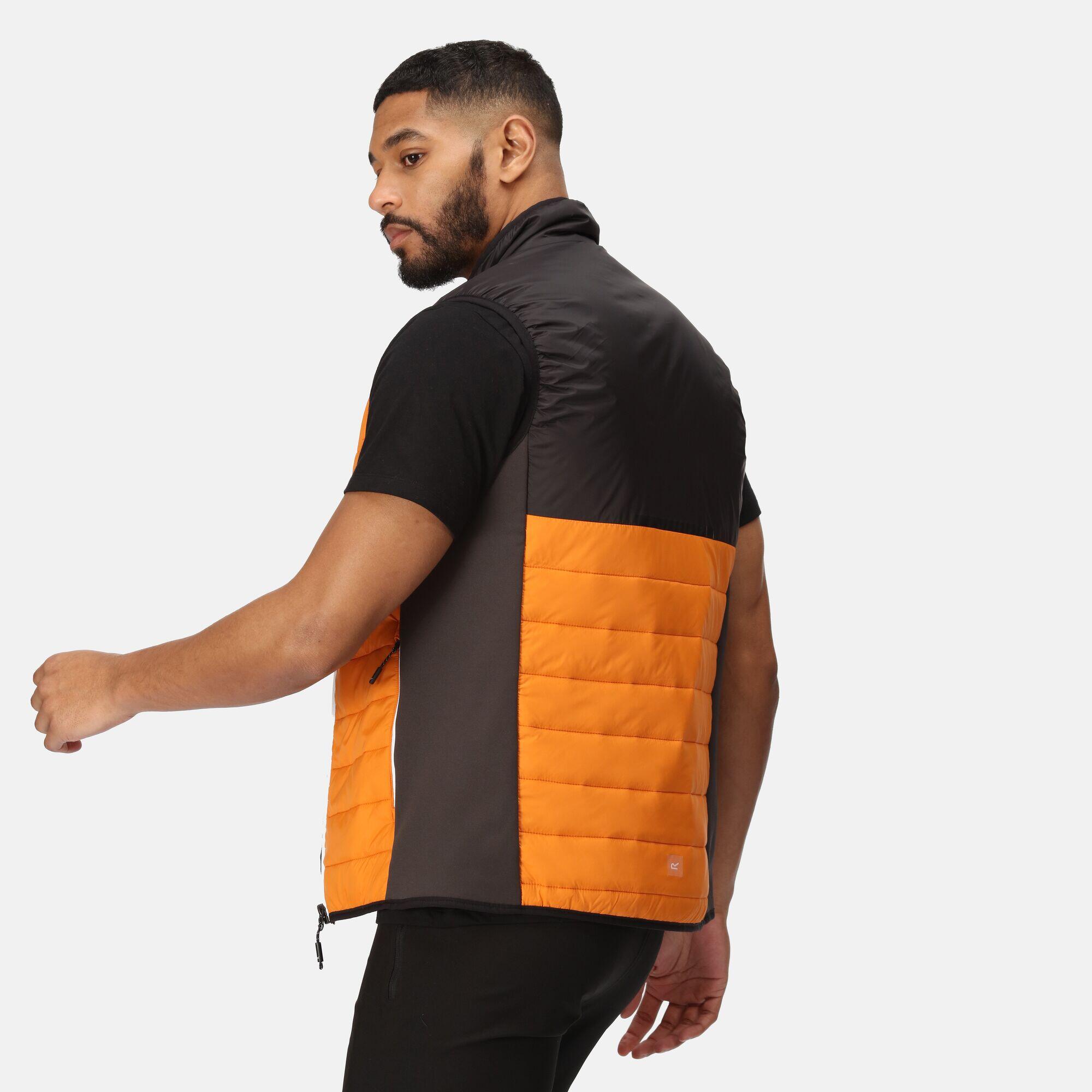 Bodywarmer Wandelen Heren Waterafstotend Alpacawol Extol-stretch 2/5