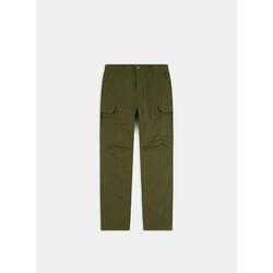 Pantalon cargo Dickies Millerville