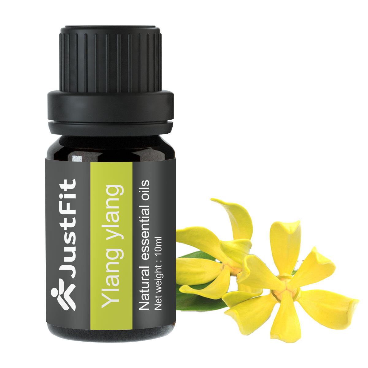 ESTRAGON (Artemisia Dracunculus) BIO - 10mL - Huile Essentielle De Qualité Premium - 100% Pure, Naturelle, Garantie ChromaCert® - Chémotypée & Intégrale