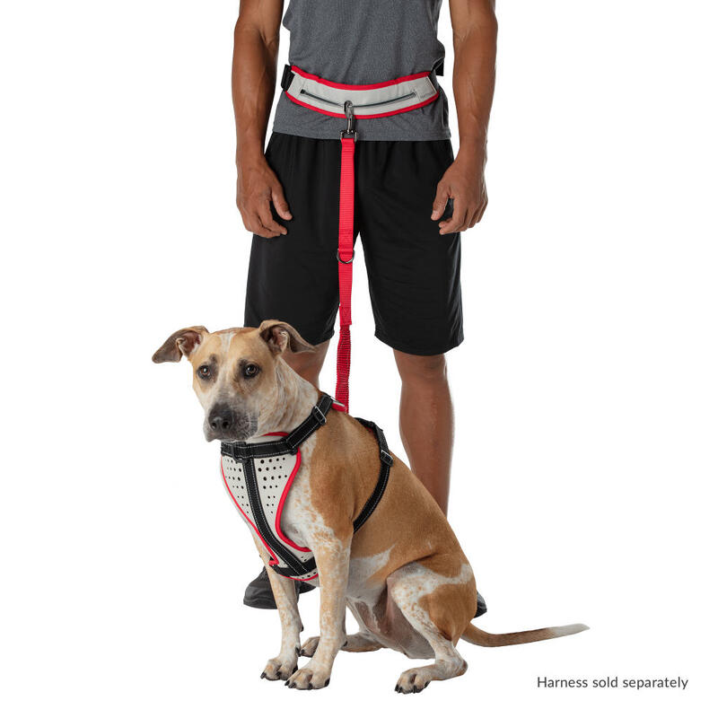 Ceinture De Ceinture De K9 Runner Avec Laisse ROUGE