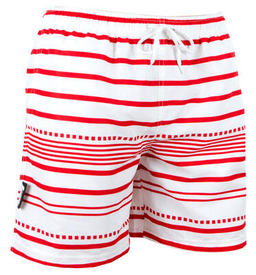 Herren Boardshorts Style 10 Streifen