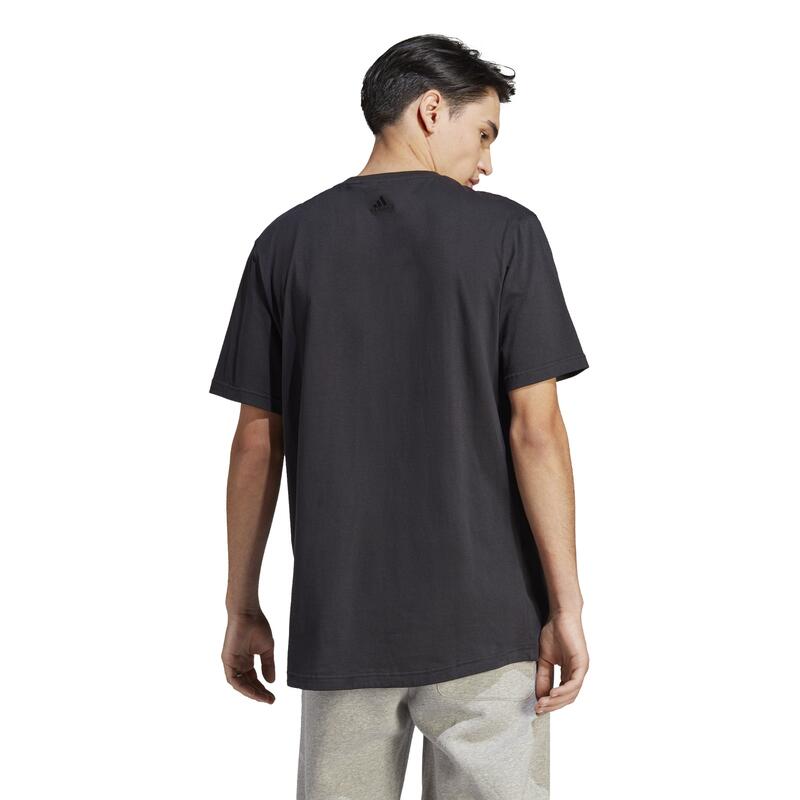 ADIDAS All SZN Graphic T-Shirt für Herren