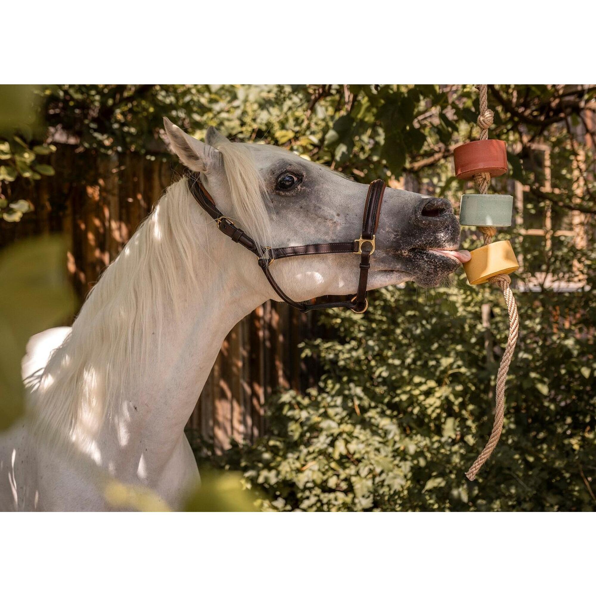 Imima - Lolly-lick, Set De 3 "pro Immun", Y Compris Corde De Suspension Gratuite - Pierre À Sel - Taille Unique - Decathlon