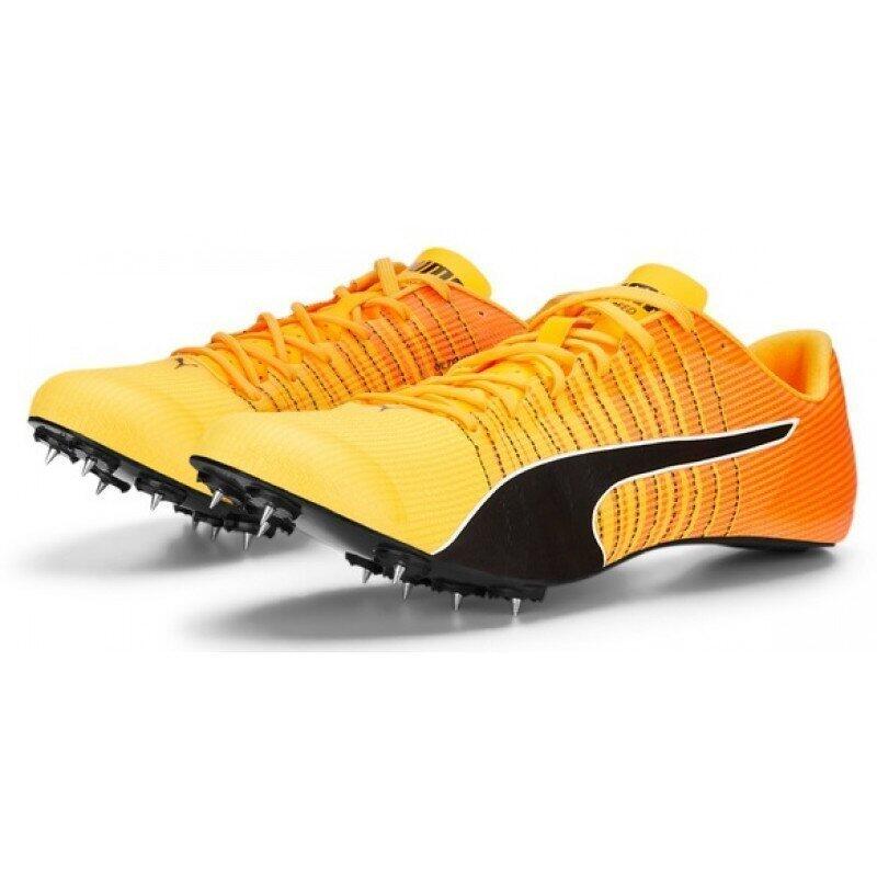 PUMA Laufschuhe Erwachsener Puma Evospeed Tokyo Future Faster Schwarz