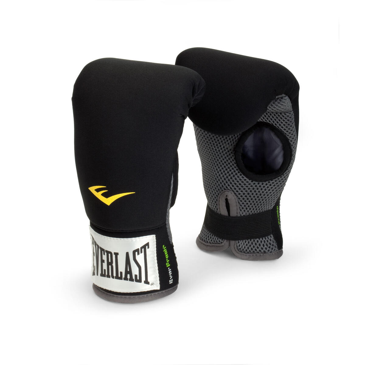 EVERLAST picture