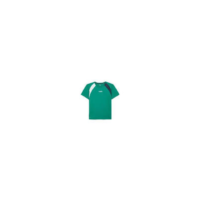 Heren t-shirt diadora ss ts golf