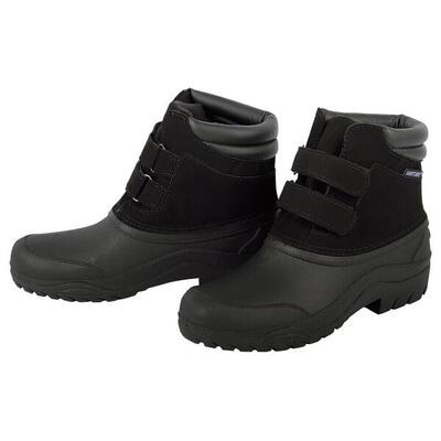 Second use - Stiefel Harry's Horse Flock