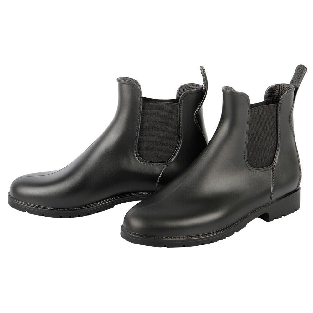 HARRYS HORSE picture