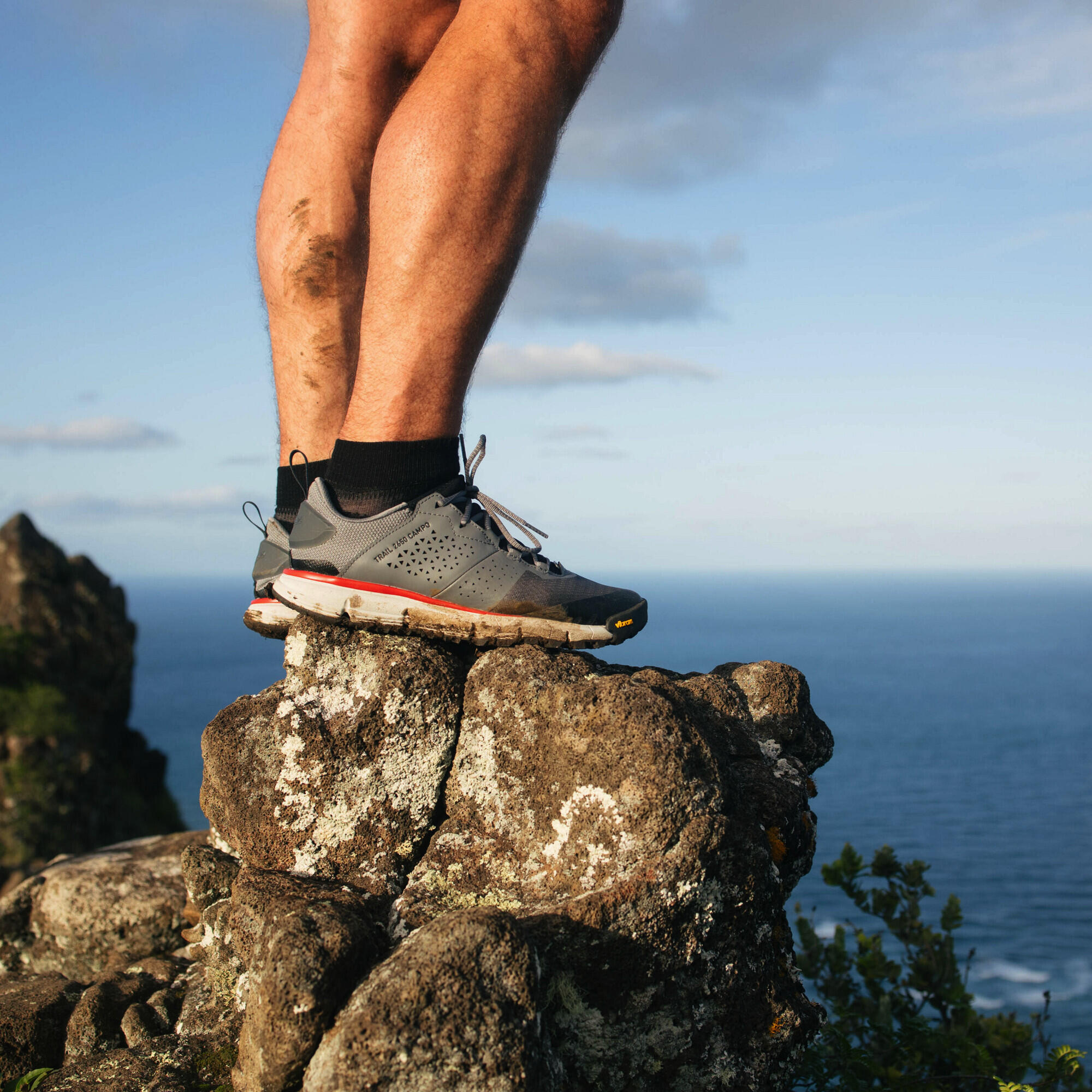 Chaussures de randonnée Danner 2650 Campo 3/7