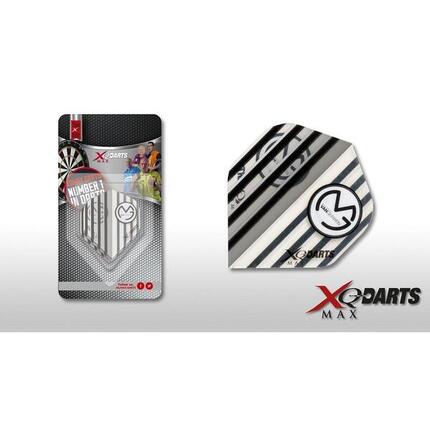 Michael van Gerwen Flight