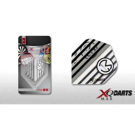 Michael van Gerwen Flight