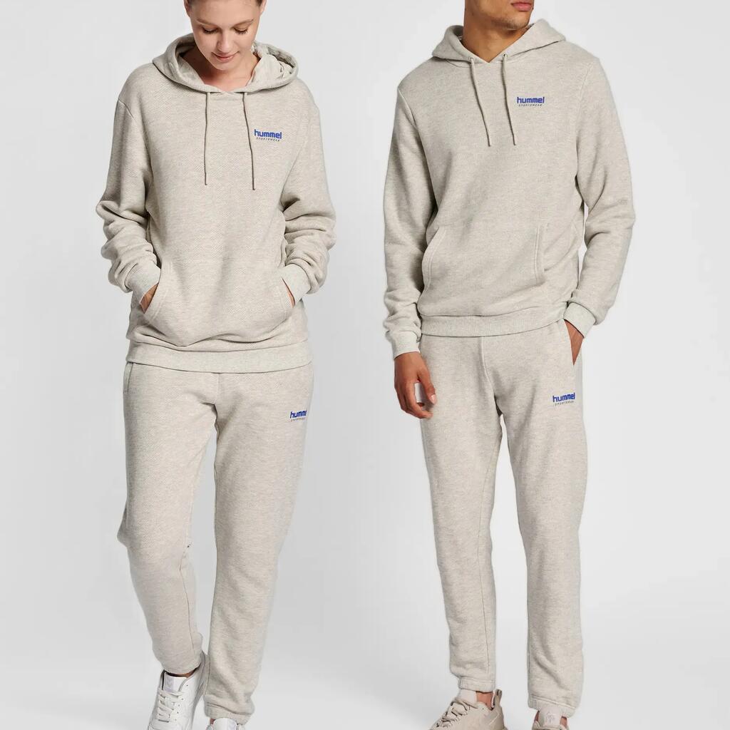 Hooded sweatshirt Hummel LGC Austin