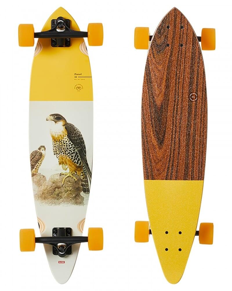 Globe Pintail 34" - Falcon-Longboard 3/3
