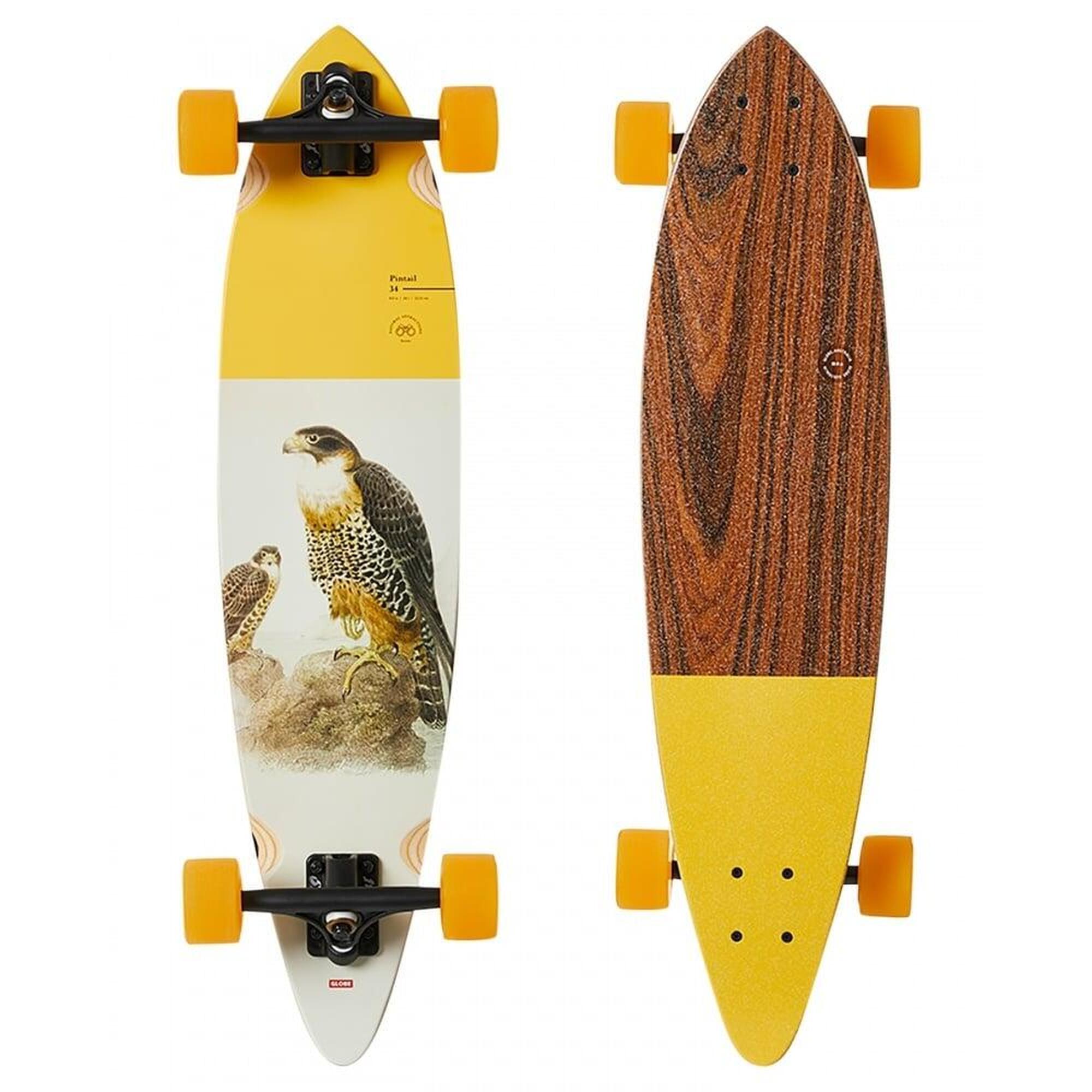 Globe Pintail 34" - Falcon-Longboard