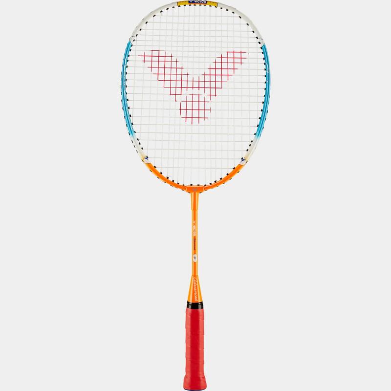 Victor Badminton Set Advanced