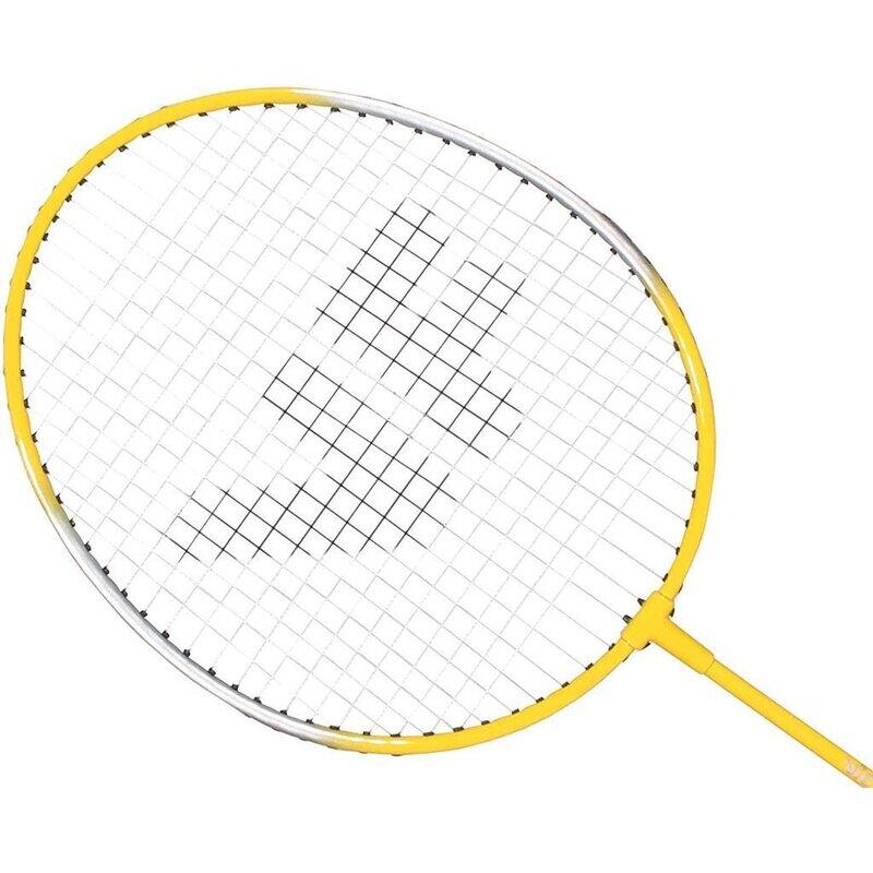 VICFUN Hobby Badminton Set Basic 4/7