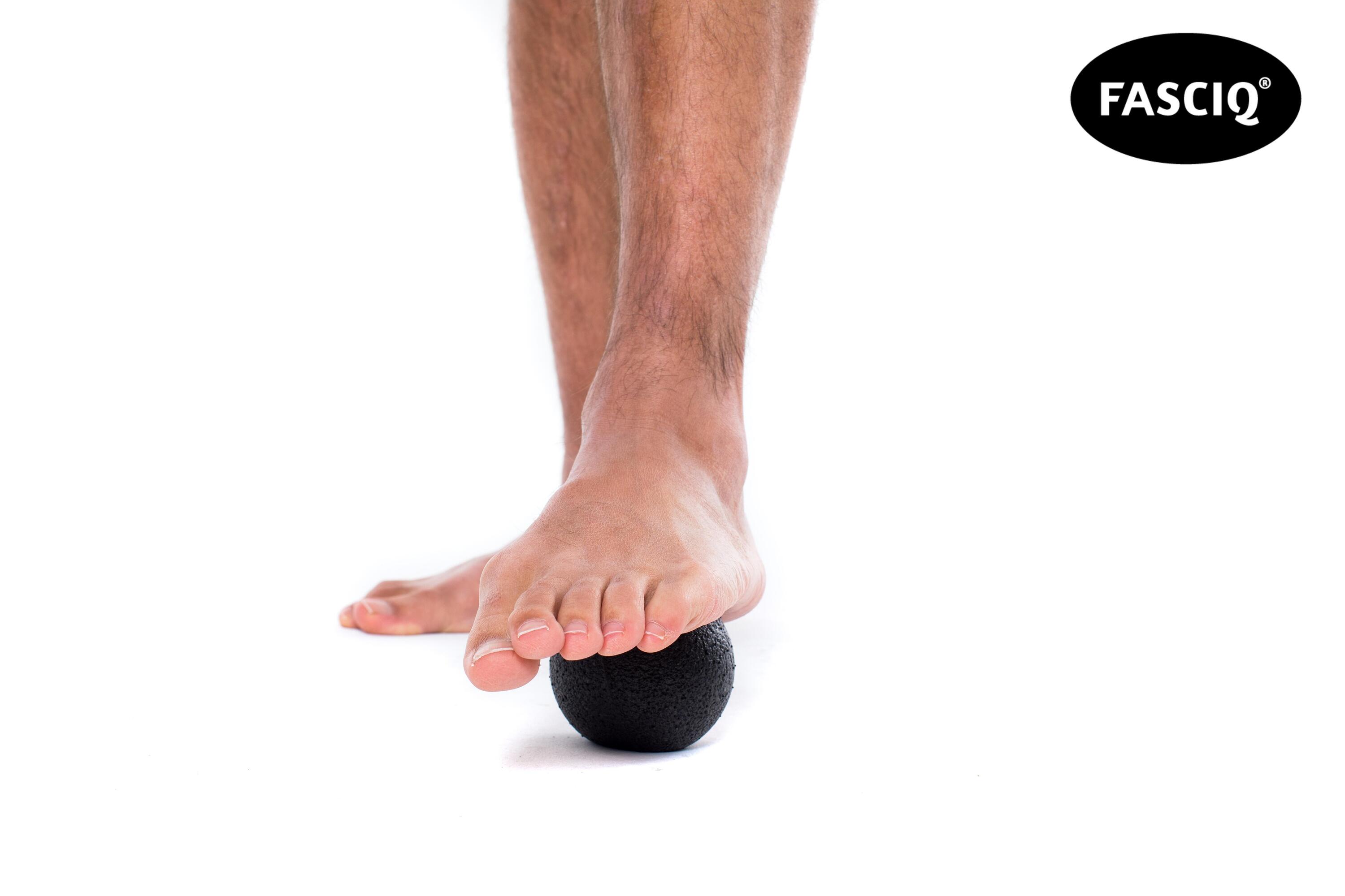 FASCIQ® Trigger Point Ball (Lacrosse Ball) – 8 cm 3/6