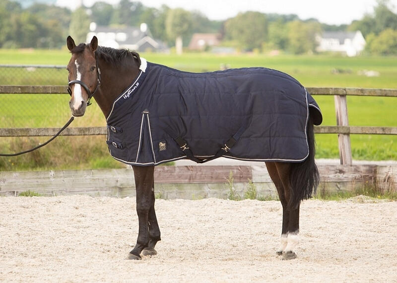 HARRYS HORSE picture