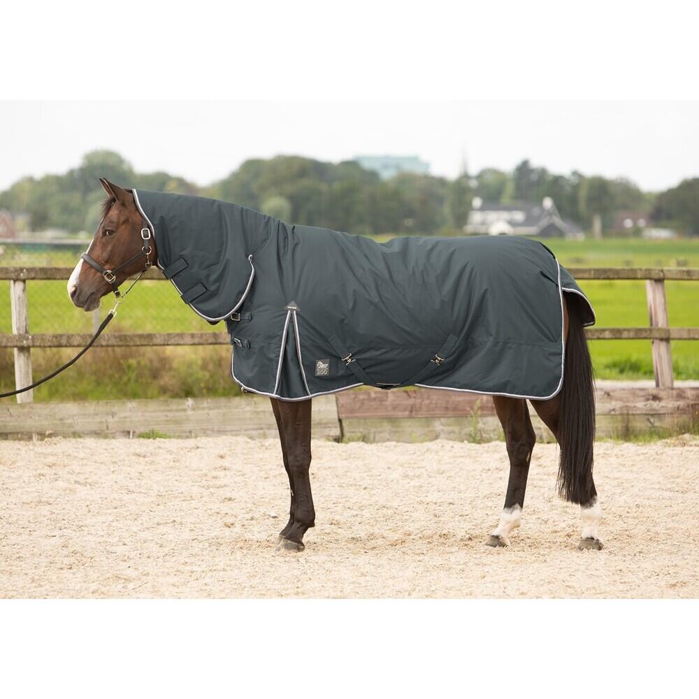 Harrys Horse - Couverture Extérieur Pour Cheval Avec Cou Harry's Horse Thor 200 G - Couverture Cheval - Marron|noir|vert - 175 Cm - Decathlon