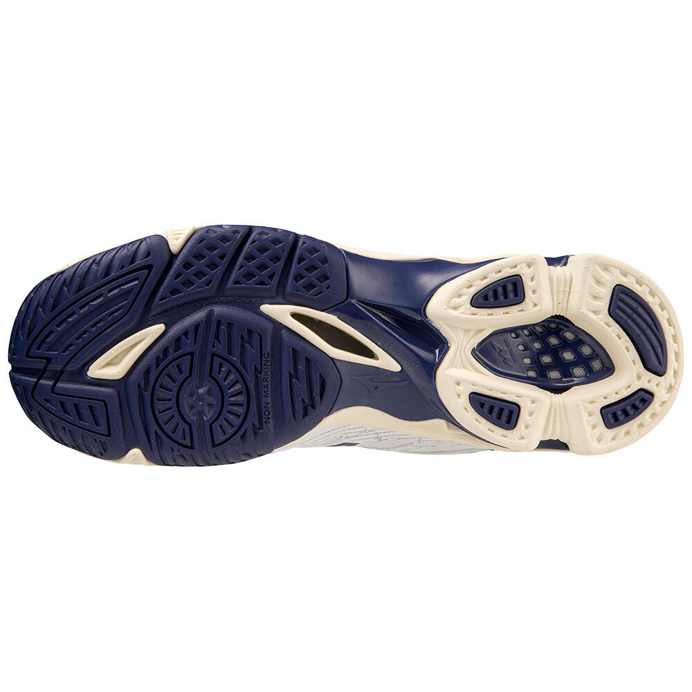 Indoor schoenen Mizuno Wave Voltage 5/5