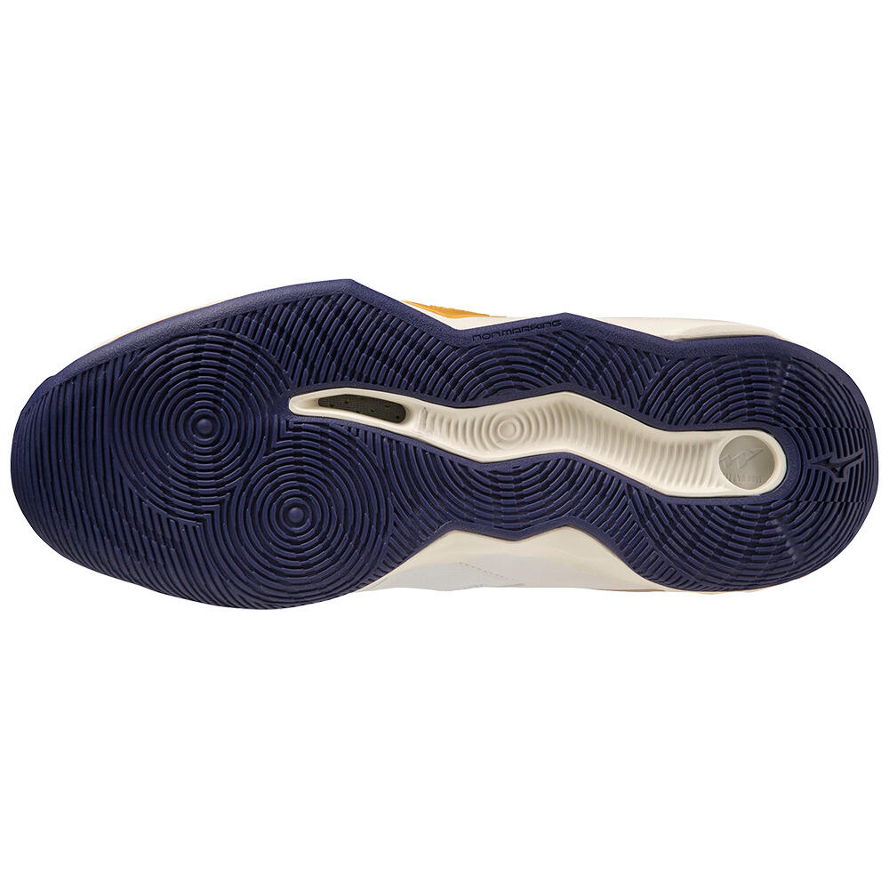 Damen-Hallenschuhe Mizuno Wave Dimension 5/6