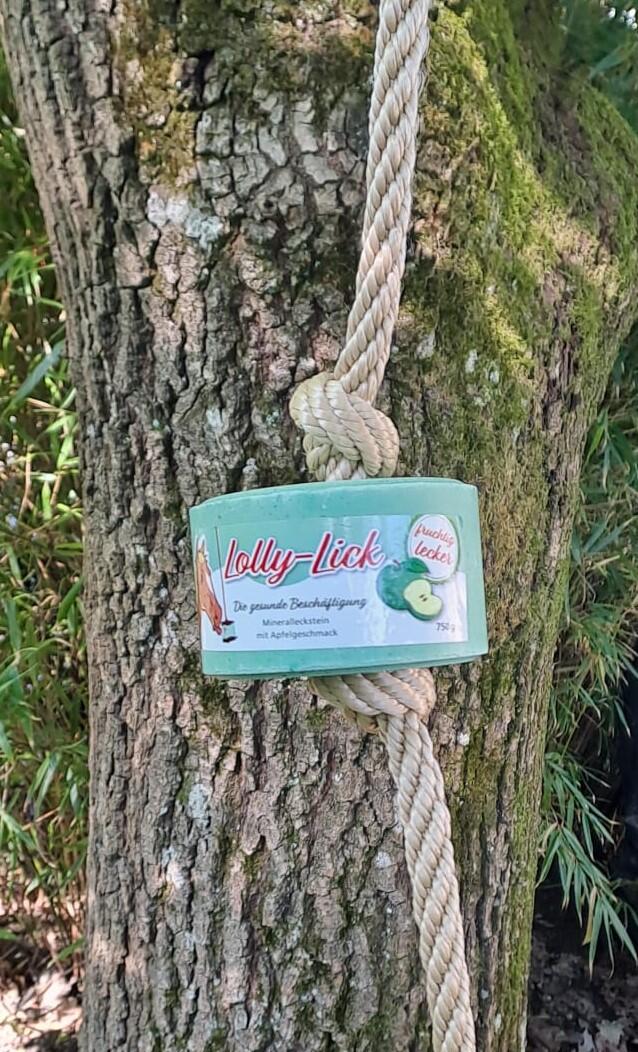 Lolly-Lick, mineralen liksteen met appel, 750g 5/5