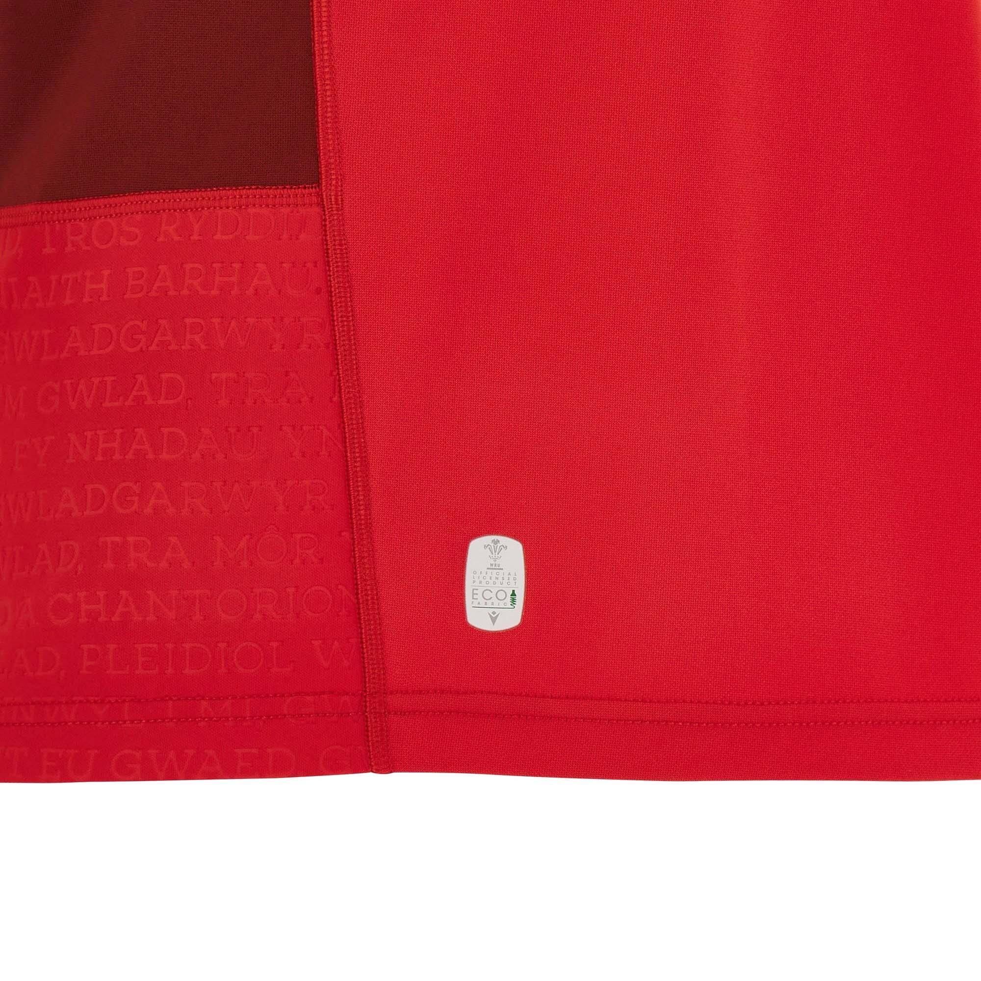 Camiseta primerra equipaciónde la Copa Mundial de Rugby 2023 Gales 5/6