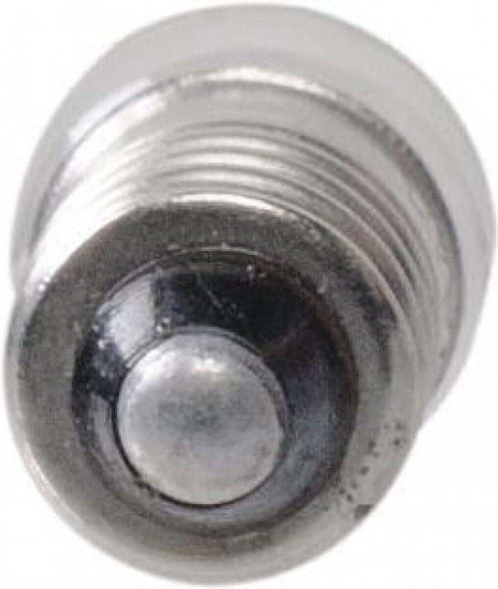 lampje achterlicht 6 volt / 0,6 watt (2) 2/4