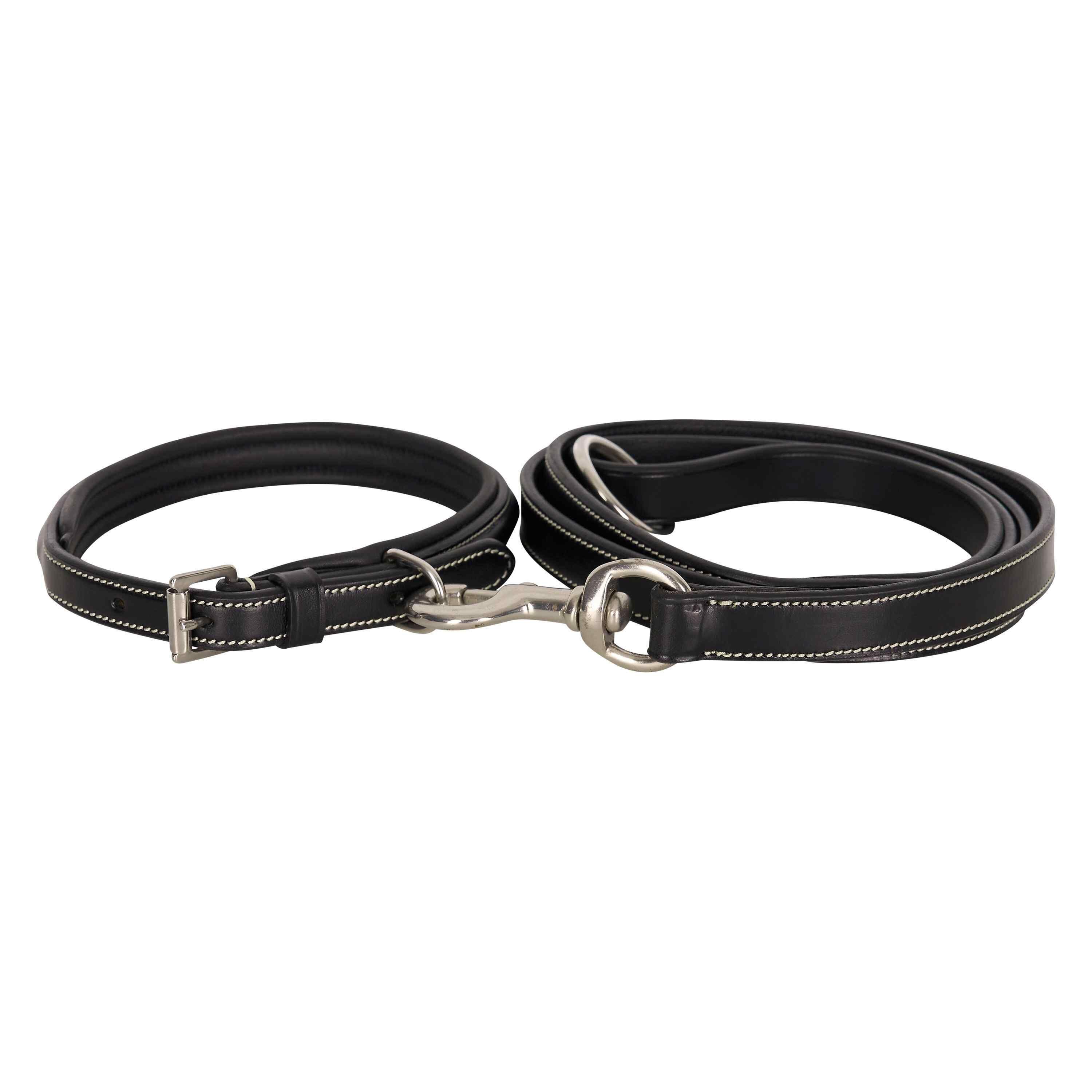 Dog leash HV Polo Legacy 2/3