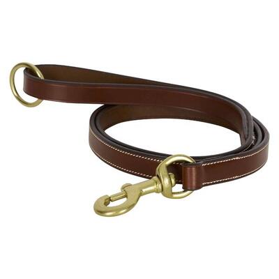 Hundeleine HV Polo Legacy