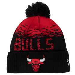 Bonnet NBA Chicago Bulls New Era Ombre Rouge