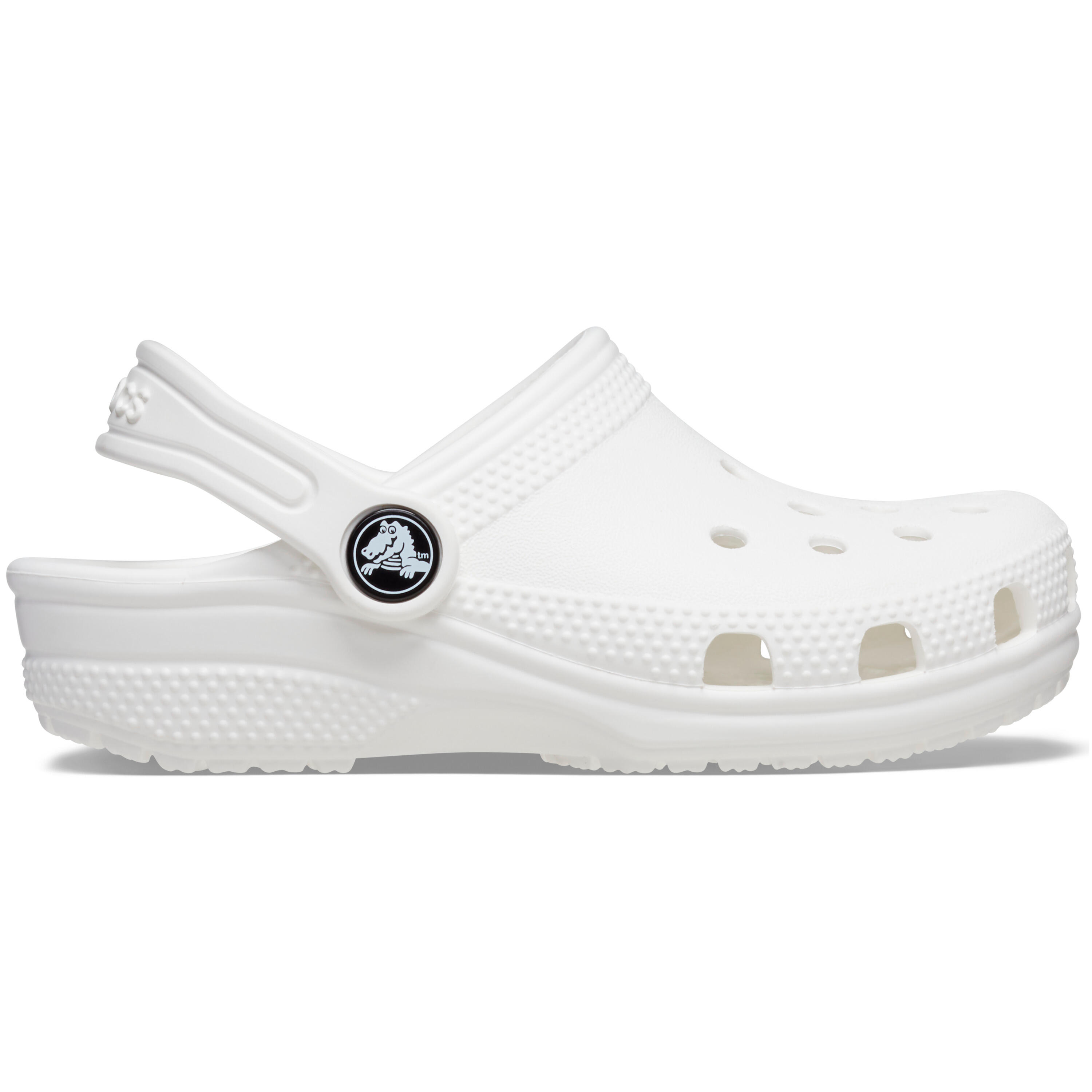 CROCS picture