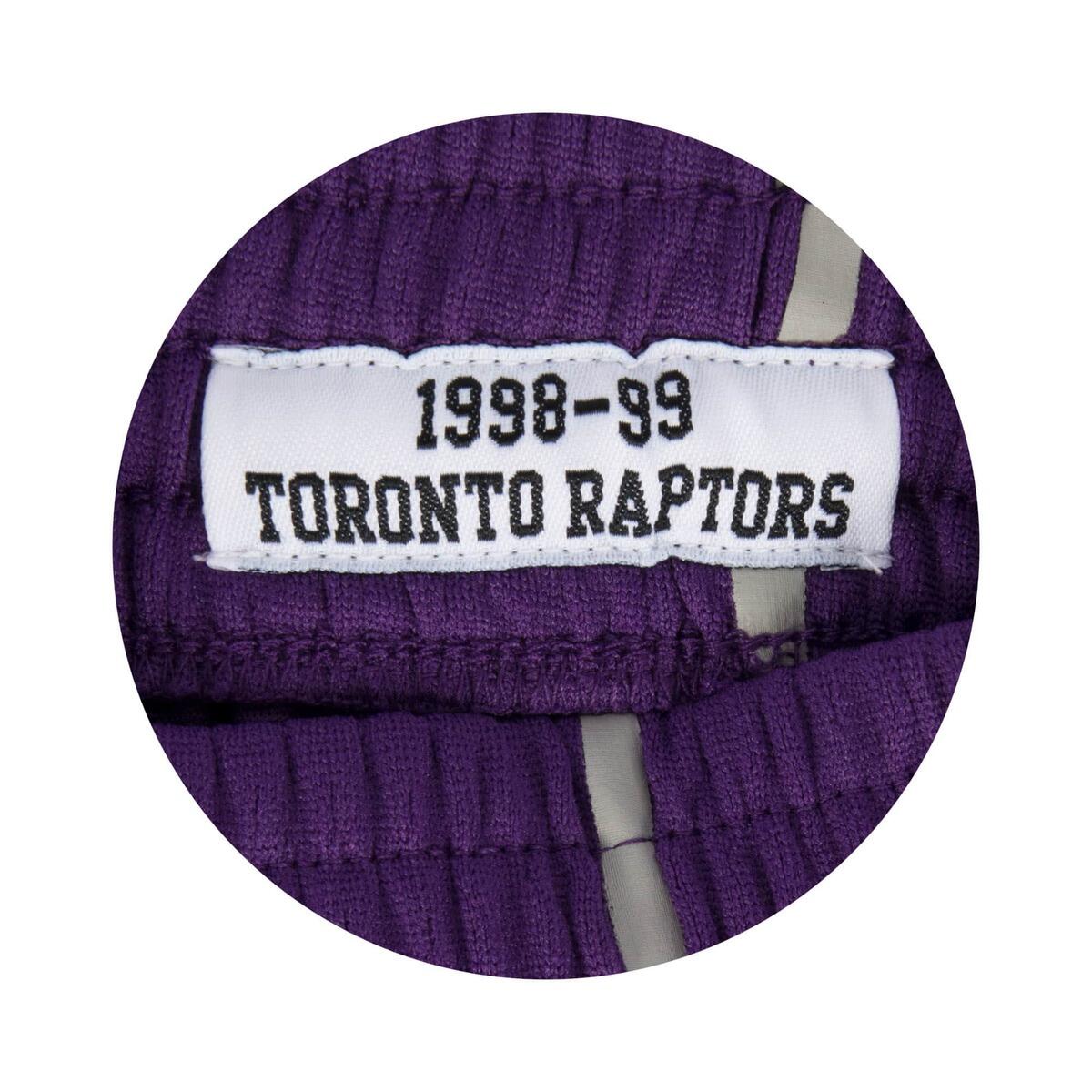 Breve Toronto Raptors nba 4/4