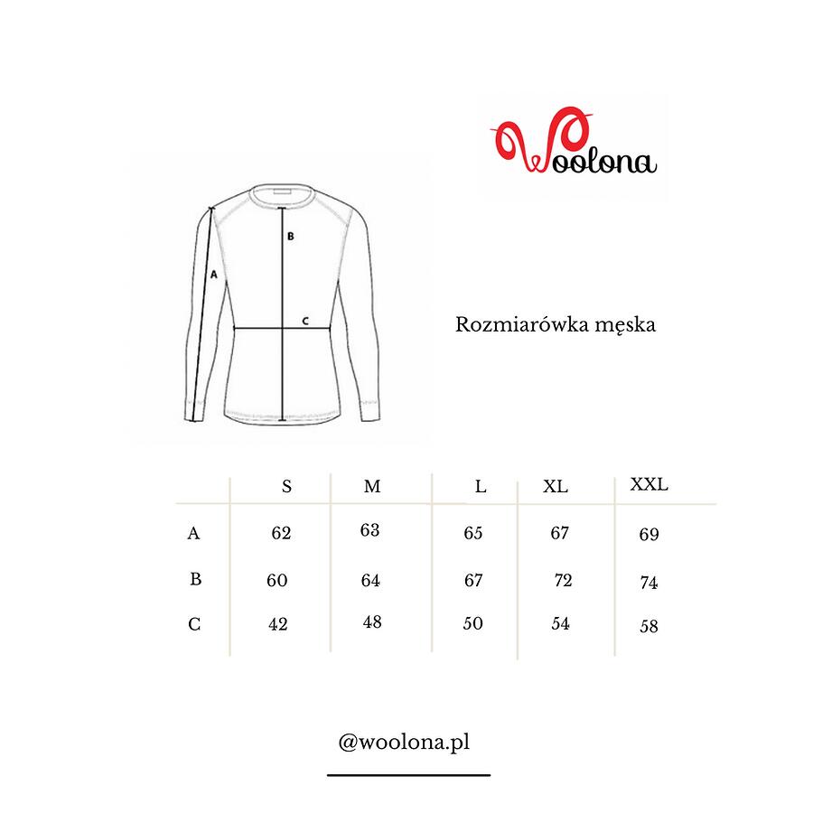 Astro - męska koszulka 100%  wełna merino z zamkiem (195 g/m²) 3/3