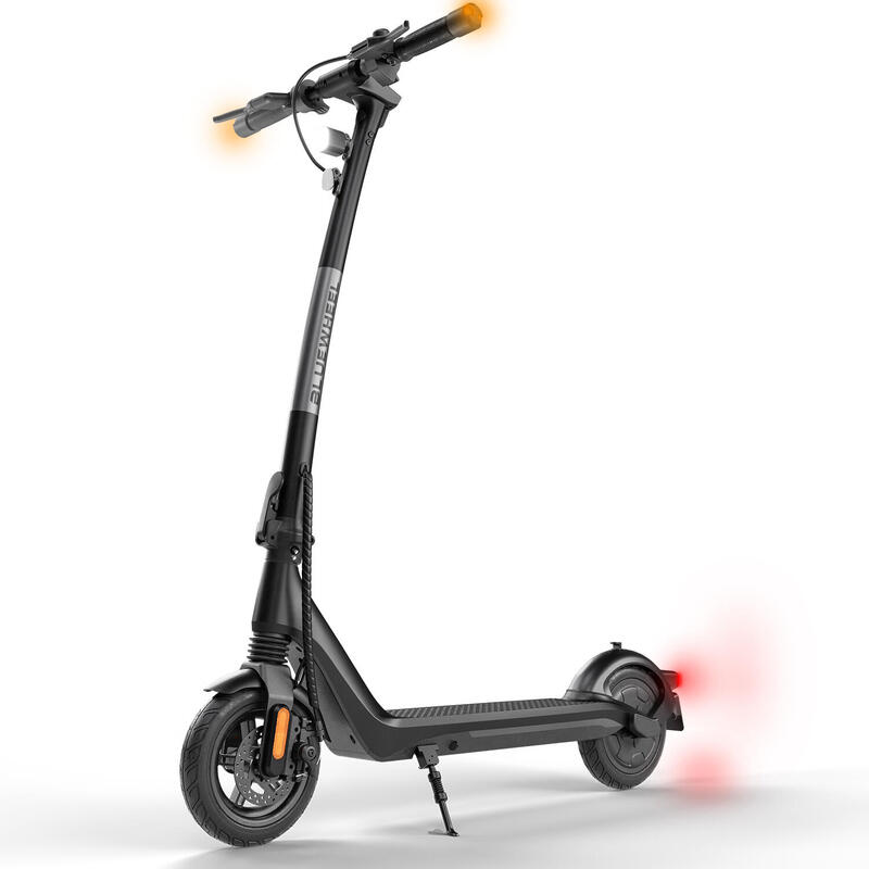 E-Scooter IX250 mit Straßenzulassung, App und Duales Bremssystem + Federung