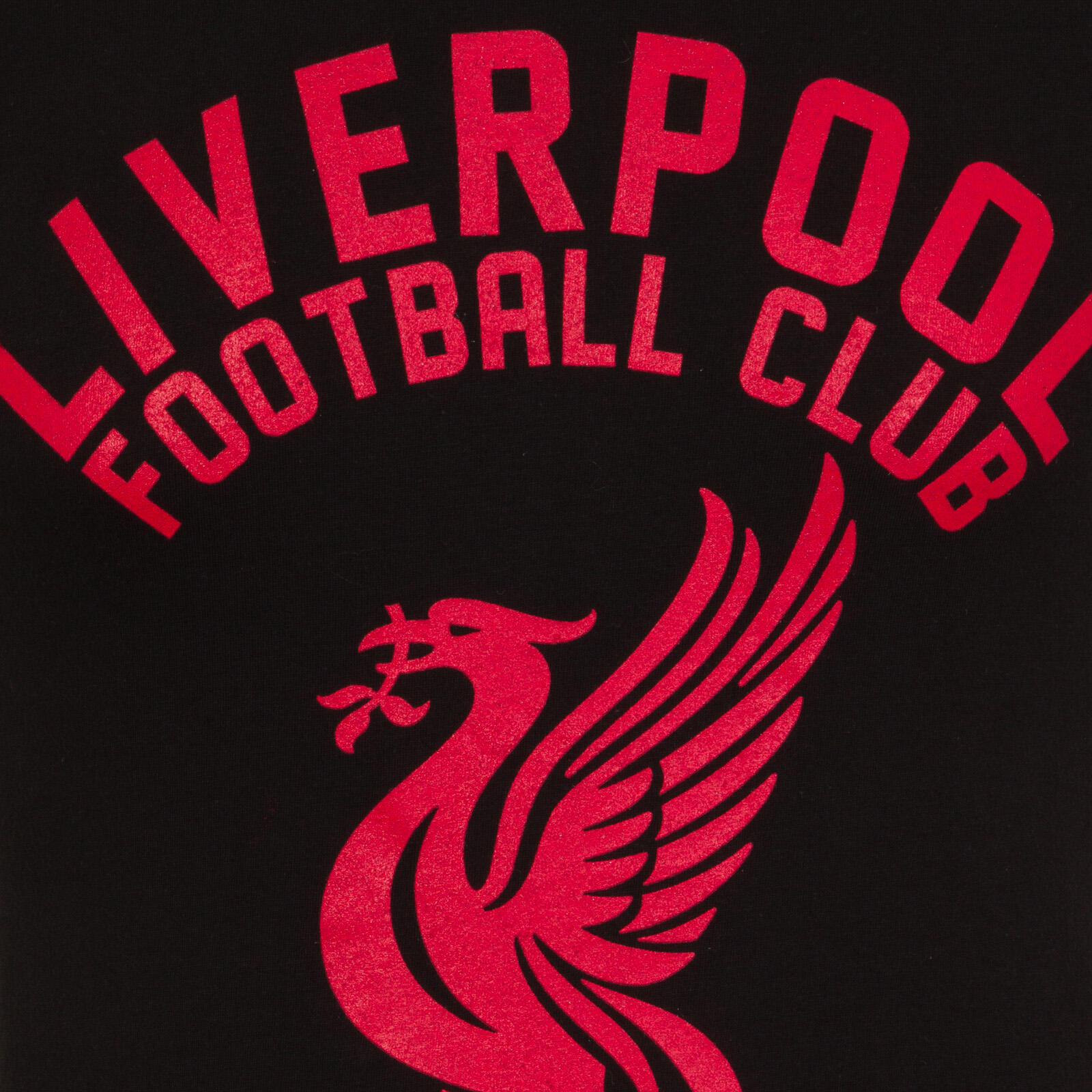 Liverpool FC Mens T-Shirt Graphic OFFICIAL Football Gift 2/3