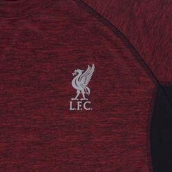 : Liverpool FC T-Shirt Mens Training Kit Poly OFFICIAL Soccer  Gift : Sports & Outdoors