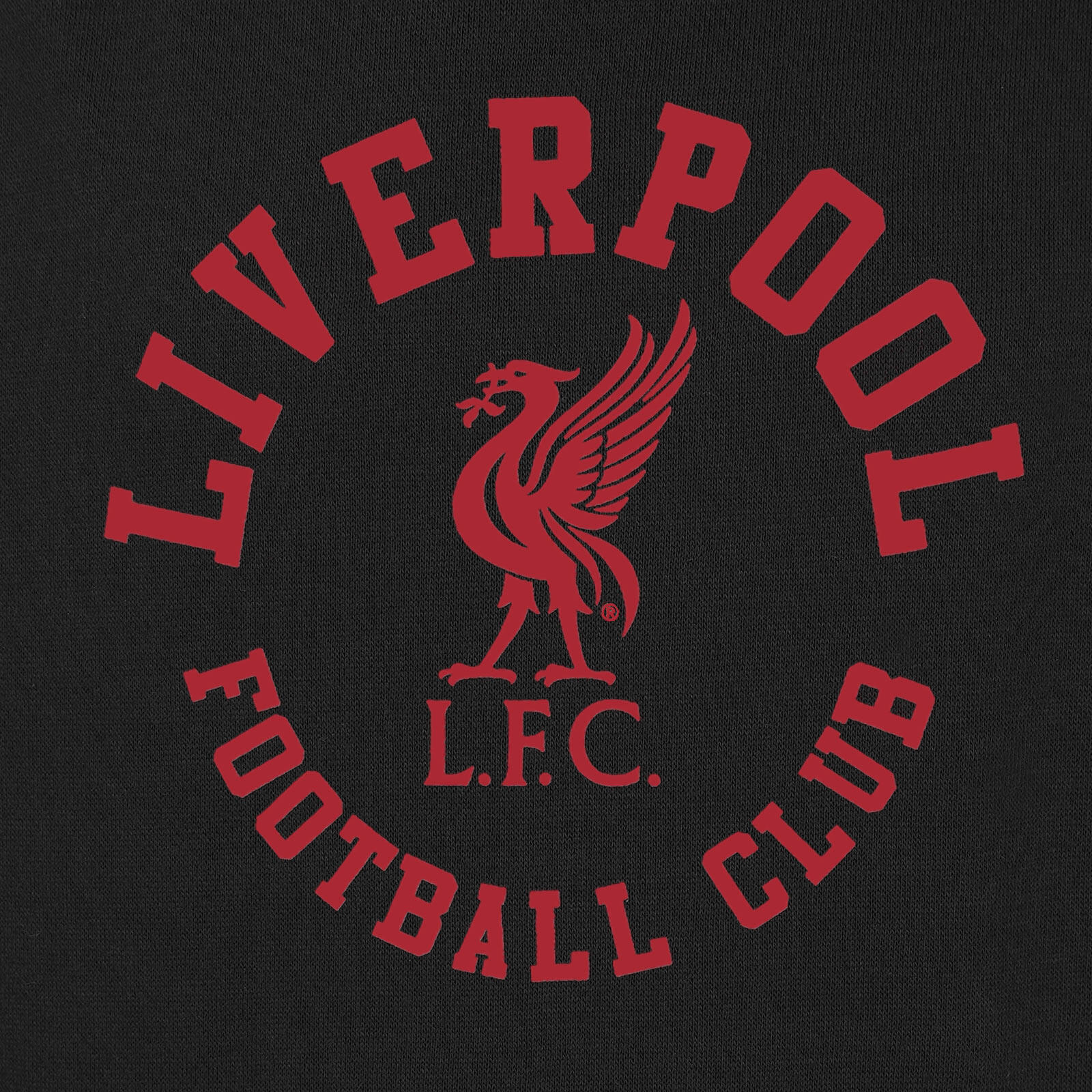 Liverpool FC Boys Hoody Fleece Graphic Kids OFFICIAL Football Gift 2/3