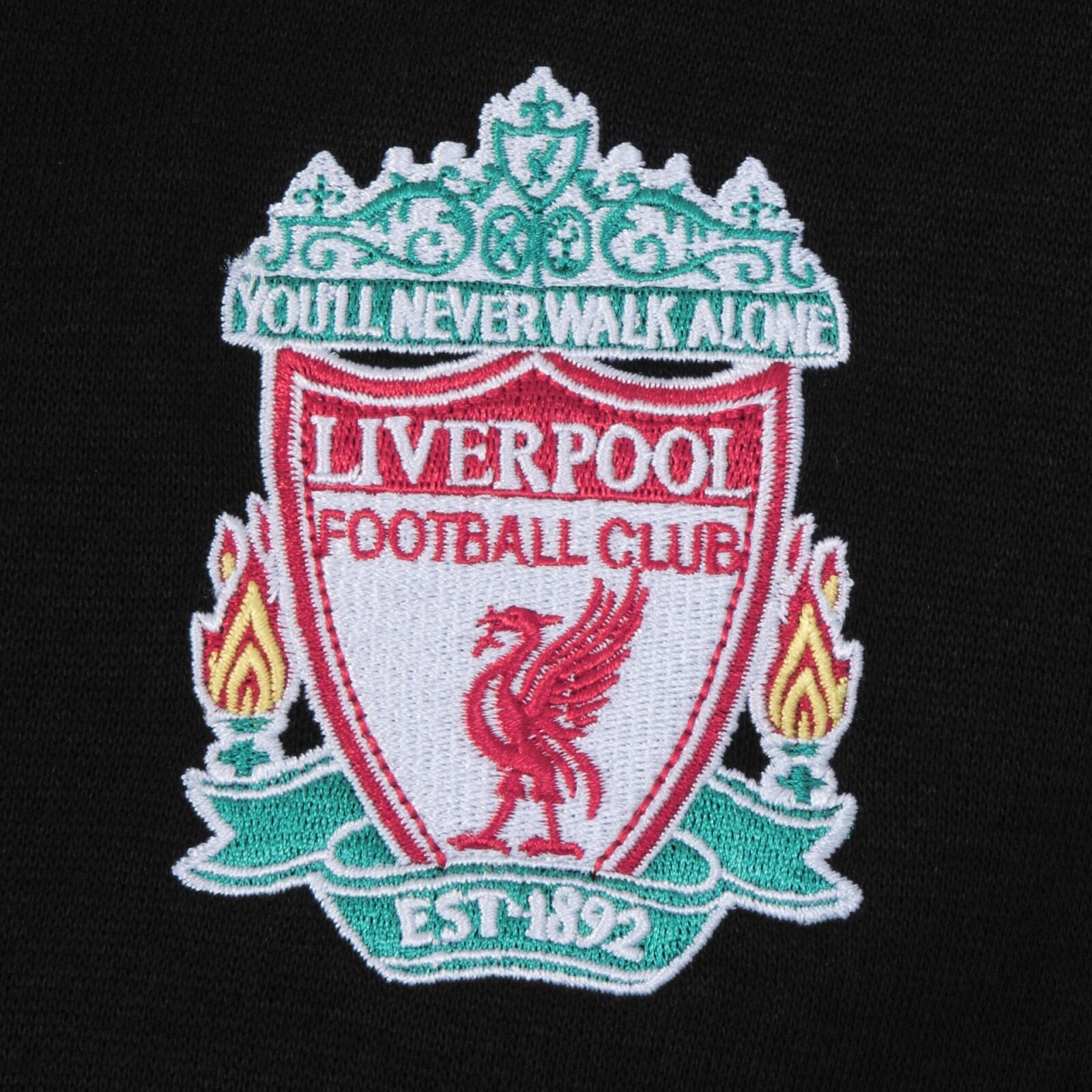 Liverpool FC Boys Hoody Zip Fleece Kids OFFICIAL Football Gift 3/3