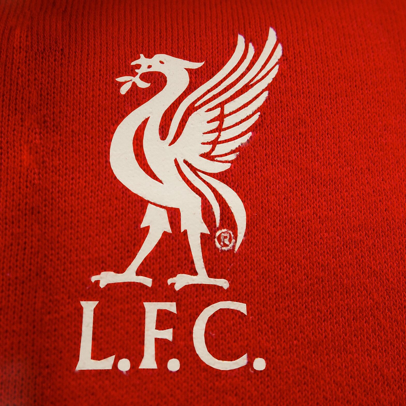 Liverpool FC Boys Hoody Fleece LFC Graphic OFFICIAL Football Gift 3/4