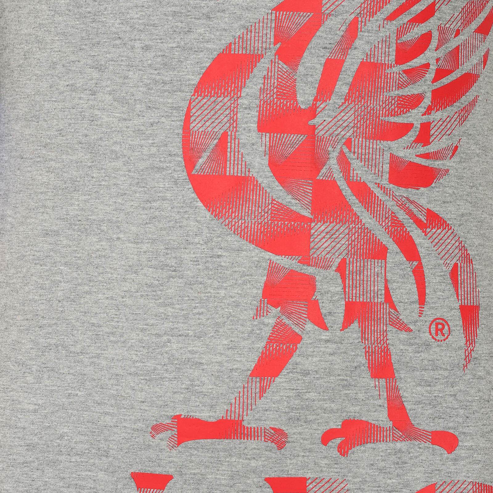 Liverpool FC Mens T-Shirt Graphic OFFICIAL Football Gift 2/5