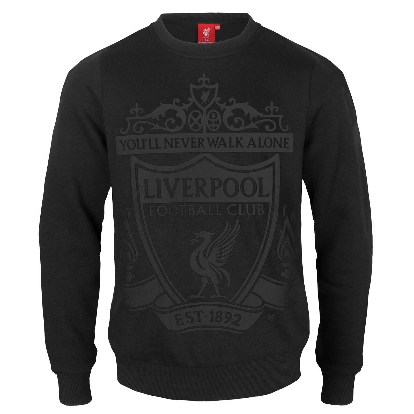 LIVERPOOL FC Liverpool FC Boys Sweatshirt Graphic Top Kids OFFICIAL Football Gift