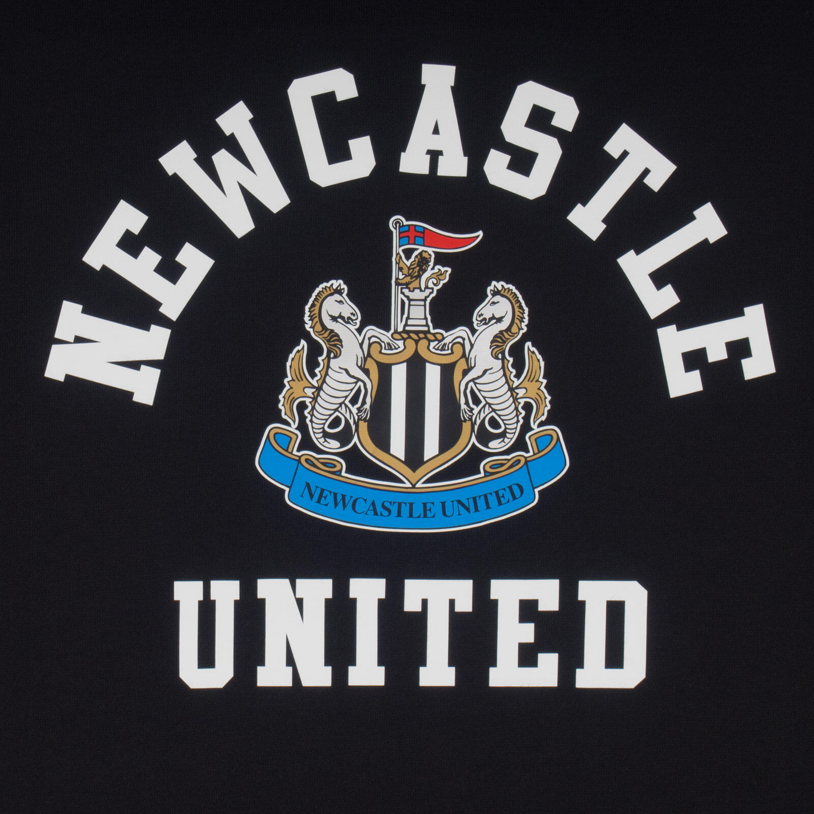 Newcastle United FC Boys Hoody Fleece Graphic OFFICIAL Football Gift 2/3