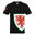 Wales Cymru Mens T-Shirt Graphic FAW OFFICIAL Football Gift