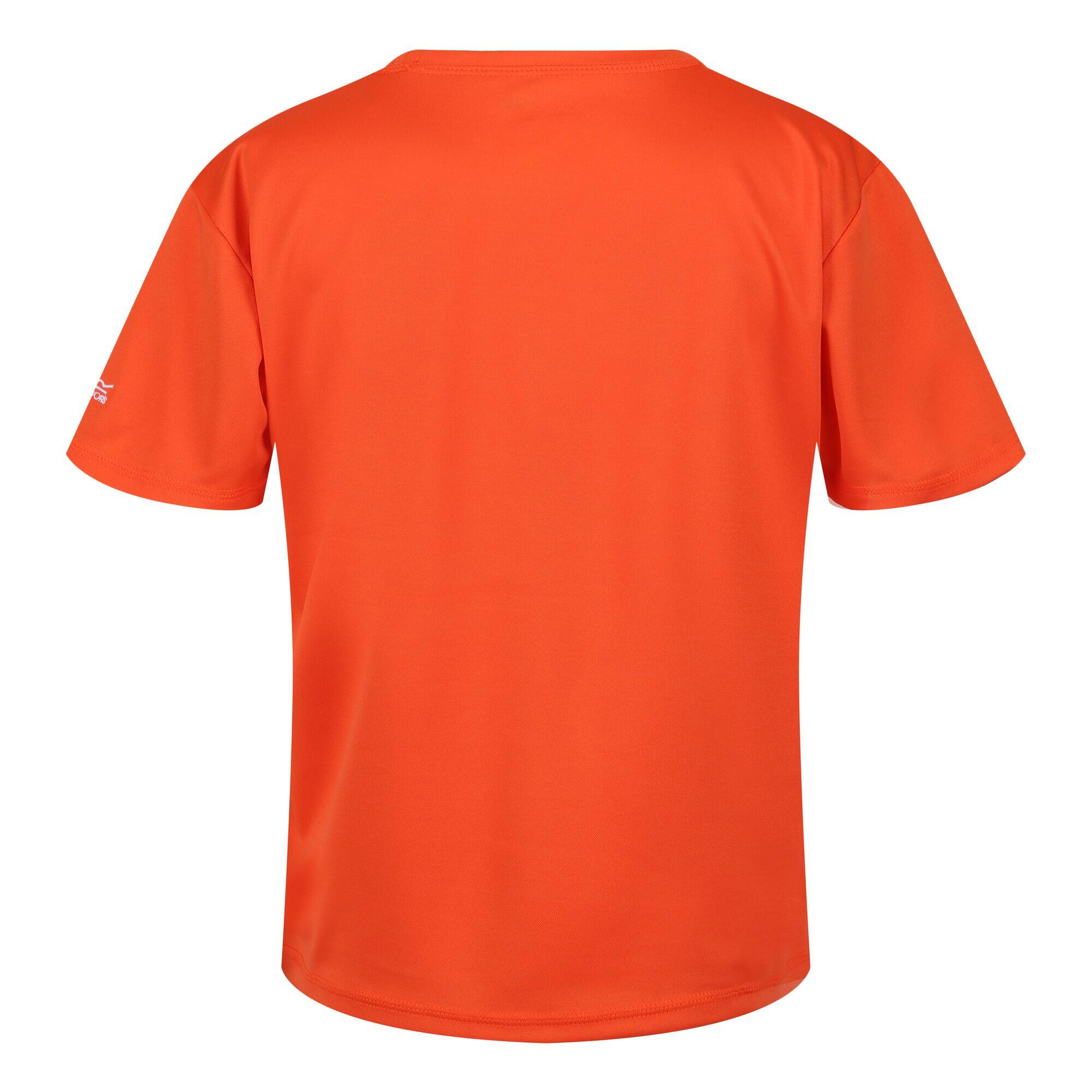 Childrens/Kids Alvarado VII Triangle TShirt (Blaze Orange) REGATTA ...